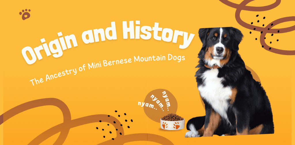 Origin and History of Mini Bernese Mountain Dogs